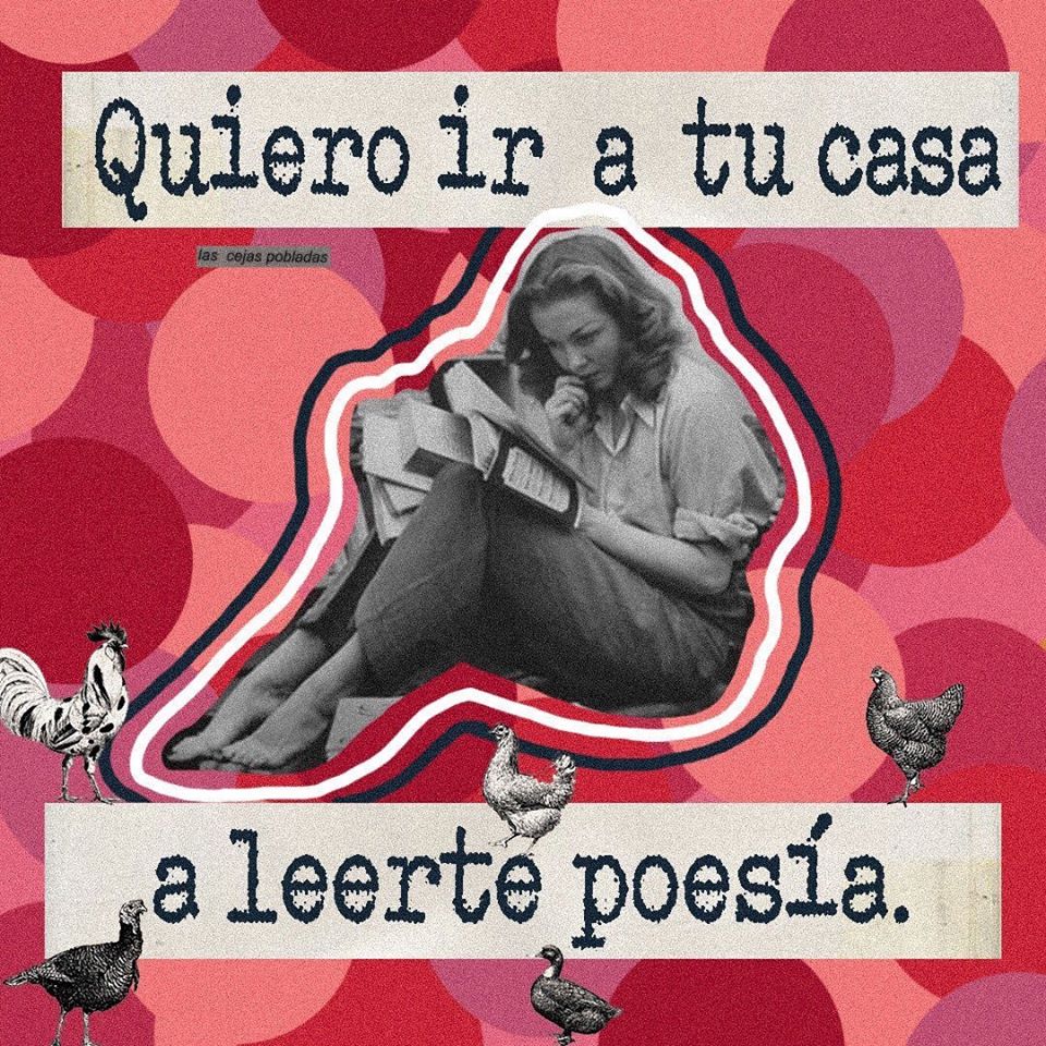 micro abierto en denia online